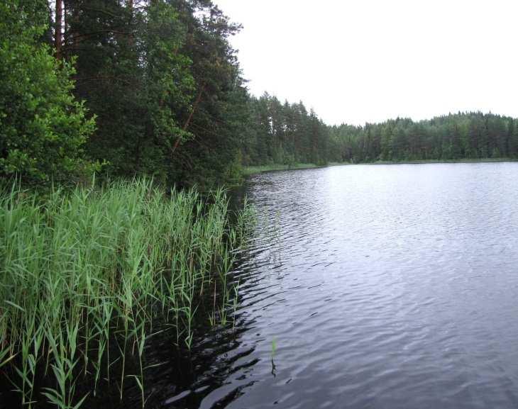 elinympäristöjä, merkittäviä luontokohteita tai muita luonnonarvoja, jotka olisi erityisesti huomioitava maankäytön suunnittelussa. 37. Otamalampi (LIITTEET, Kartta 5.