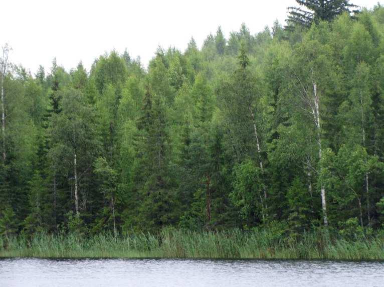 Lampeen tulee ojituksia mm. Kakslammilta ja Römminniitulta sekä muutamilta muilta suojuotteilta.