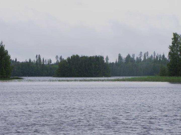 Kommerlahdella tai sen lähiympäristössä ei todettu rauhoitettuja tai uhanalaisia kasvilajeja, uhanalaisia lintulajeja, uhanalaisille lajeille (direktiivin IV(a) lajit) soveltuvia elinympäristöjä,