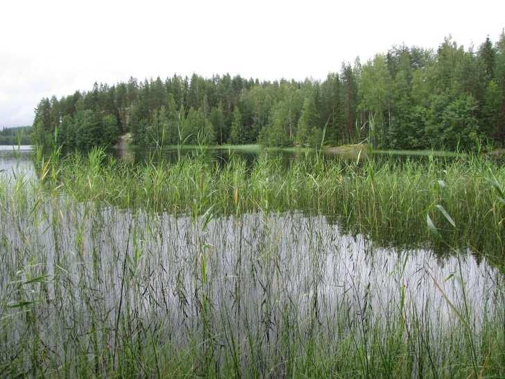 71 Kuva 132. Mustalahti länsirannalta kuvattuna. Kuva 133. Mustalahden suun rantakallio on maisemallisesti merkittävä. Suositus.