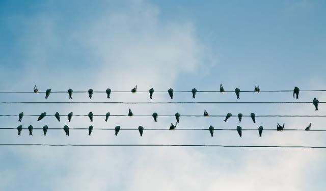 43 OSA 2: MINDFULNESS HOITOTYÖSSÄ 2.2. ASIAKKAAN/POTILAAN KOHTAAMINEN Tietoisesta puheesta 1. Huomioi oma puheesi. Mitä sanot? Kuinka puhut? Kuuntele omaa puhettasi. 2. Kuuntele, kuinka toiset ihmiset puhuvat.