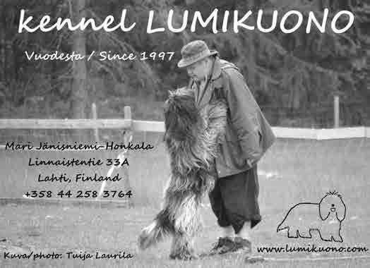 VIIDEN TÄHDEN BERTTA GLORIA FI39168/10 n Nalle-Haukun Ponsse * Trasseli Oikeista Oikein P Paasimaa / 21.1.2012 Turku kv Espen Engh, Norja 19 months old bitch. A little short on her front legs.