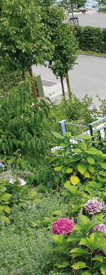 standardien noudattamiseen Rakennustekniikan, maisemasuunnittelun, puutarhanhoidon, materiaalin ja maaperätutkimuksen asiantuntijoihin Tukeen suunnitteluvaiheesta valmiiseen