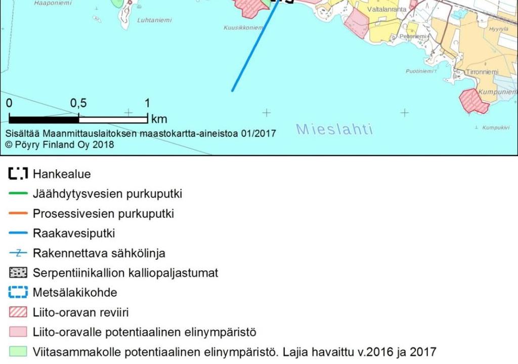 Hankealueella ei ole pohjanlepakolle soveltuvia rakennuksia, kolopuita tai kallionkoloja eikä siippalajeille sopivia vesistöjä.