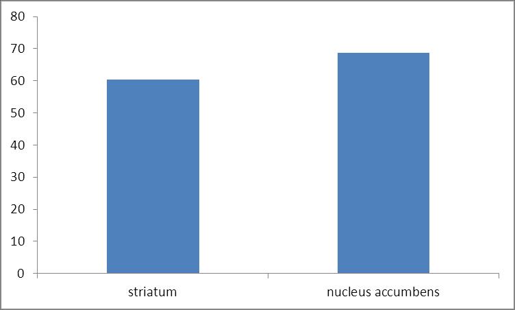 54 Kuva 21. α konotoksiini PIA:n estovaikutus (%) striatumissa ja nucleus accumbensissa.