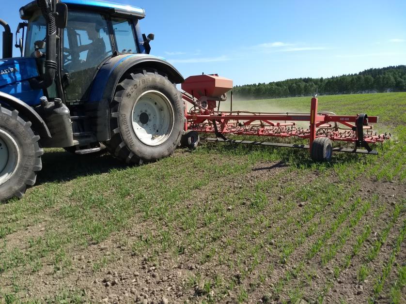 Mitä voitaisiin tehdä tilanteen korjaamiseksi? Vaativat toimenpiteet: 1. Tutkitaan mahdollisuutta siirtyä kevät-kyntöön (Carbon Action-hankkeen toimenpide) Mustialassa on paljon savimaita.