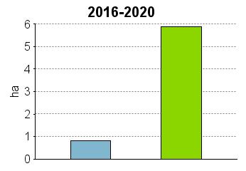 UPM Metsäsuunnitelma Tulostettu 20.6.