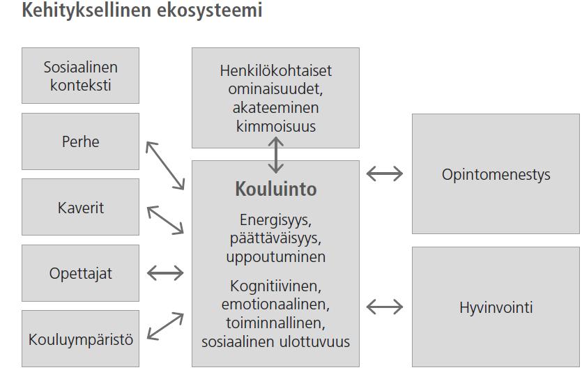 Vaatimukset ja voimavarat Opiskelukyky