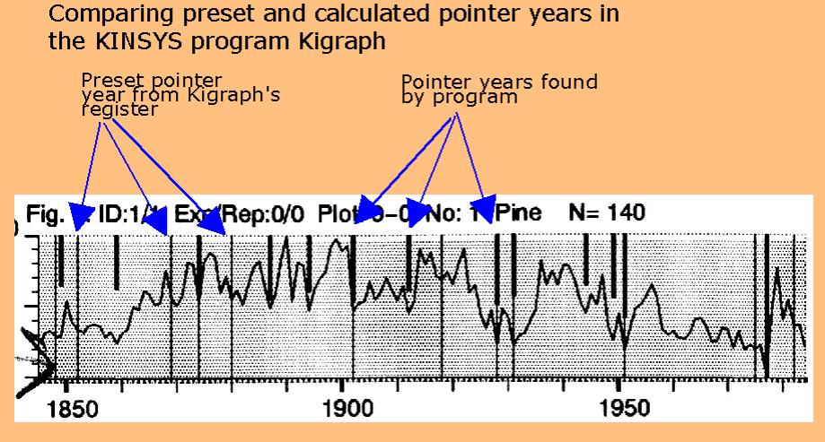 Fig 3. Skeleton plot graph created by Kinsys/Kigraph programme.