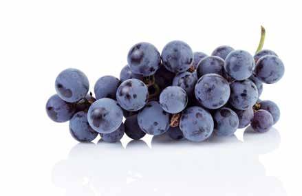 Alfmix ravintola IHT IVE AOHOITON UOHUVIINI NRO: 150102 NETTOPAINO: 0,75 l OI/R/A: 1/21/63 IHT IVE ROÉ AOHOITON UOHUVIINI NRO: 150103 NETTOPAINO: 0,75 l OI/R/A: 1/21/63 4 001744 061346 IHT IVE