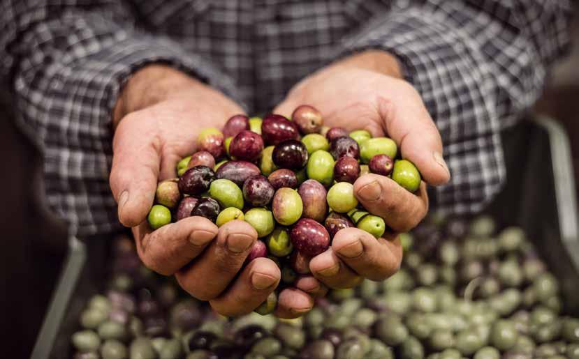 Pehmeäaromiset öljyt kestävät par haiten kuumennusta, joten ne ovat paras valinta paistamiseen, paahtamiseen ja leivontaan. Rikasaromisten öljyjen maku säilyy parhaiten matalammissa lämpö tiloissa.