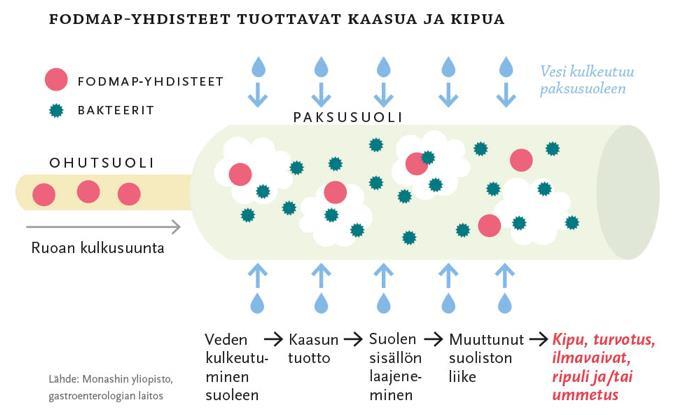 9.11.2018 13 Kuva: Leena Putkonen,