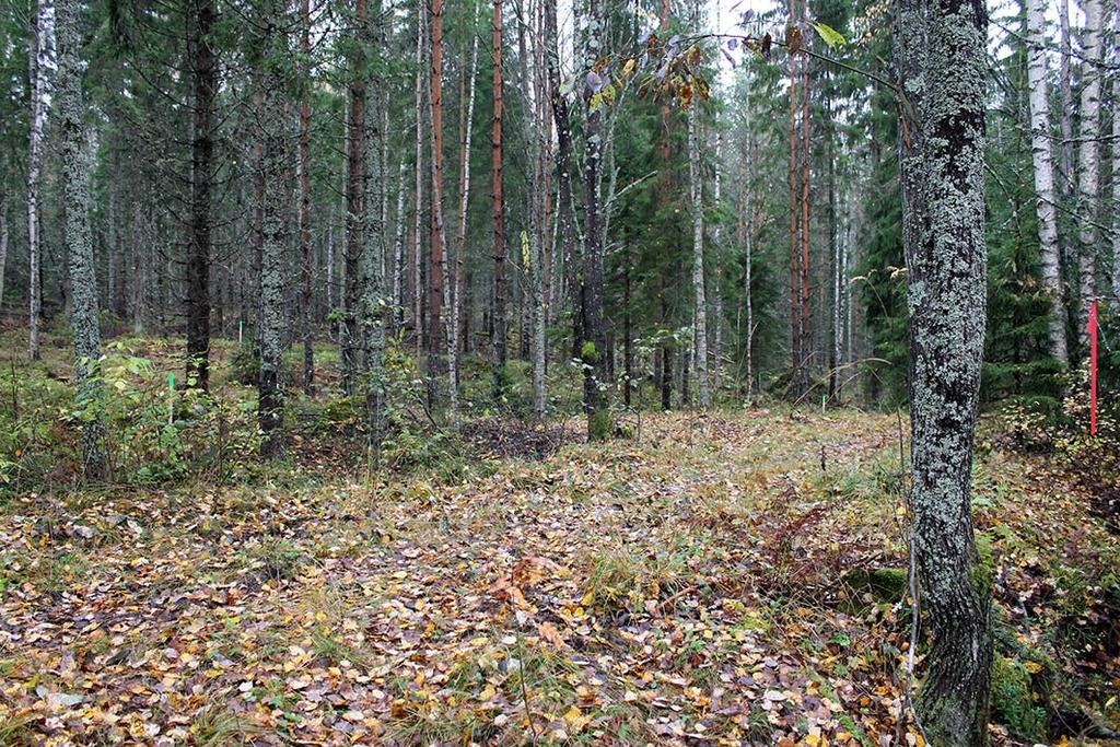 Ohessa on esitetty valokuvia kohteen keskeisistä näkymäsuunnista.