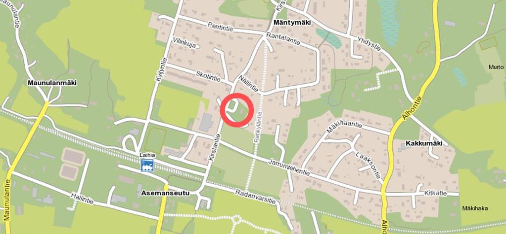suullisesti mielipiteensä asiasta (MRL 62 ).