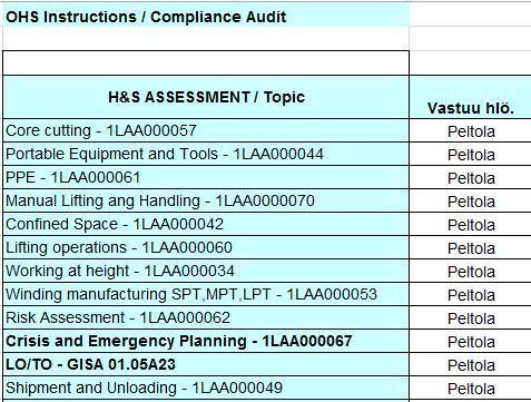 Self Audit 2018 Osa riskien