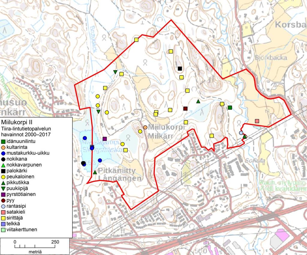 Kuva 3. Tiira-lintutietopalvelun (www.tiira.fi) havainnot Miilukorpi II -asemakaava-alueella vuosina 2000 2017. Muutama päällekkäinen symboli ei näy kartalla.