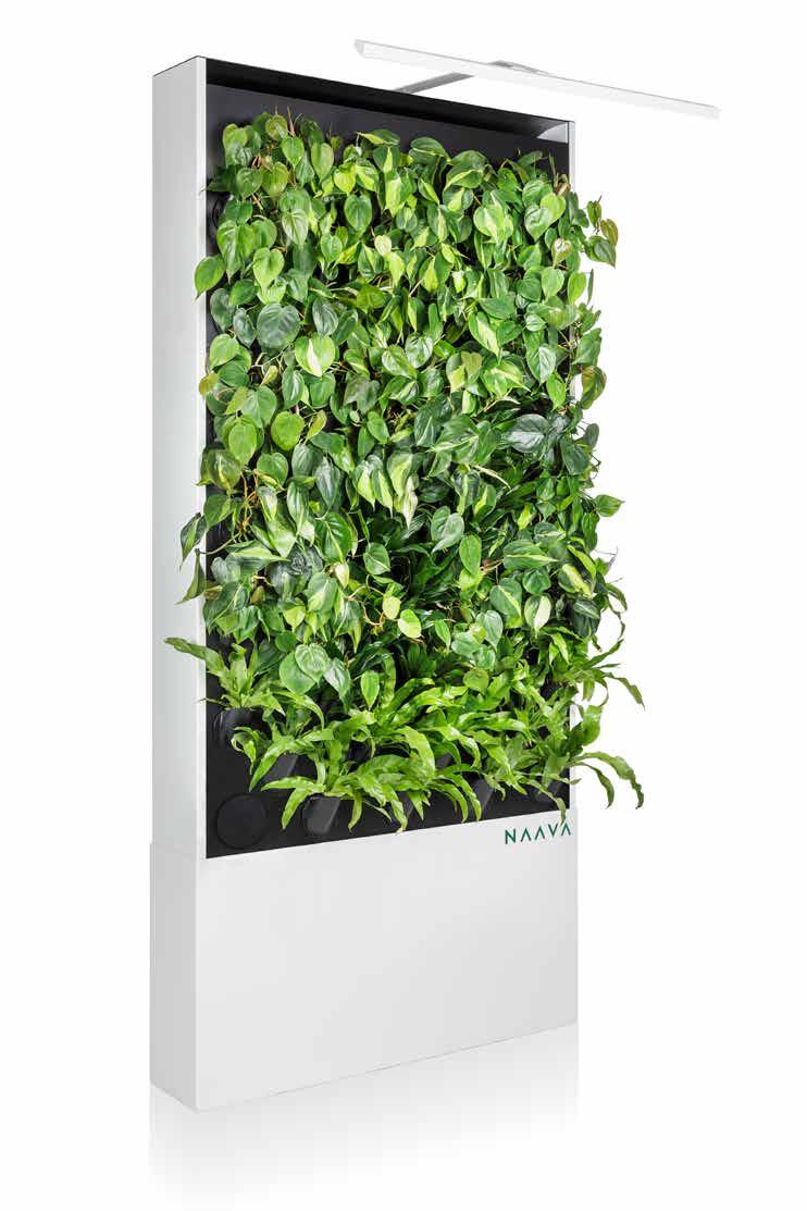 Naava One Slim KOKO RUNGON VÄRI Leveydet: Korkeudet: Syvyys: Naavan runko on alumiininen. Valitse efekti- 800 mm 2100 mm 210 mm pinnan väri seuraavista vaihtoehdoista.