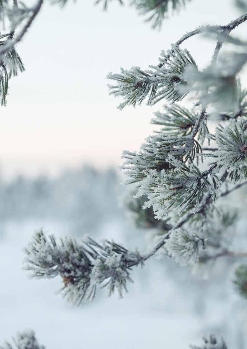 Kaikki alkoi maailman puhtaimmasta ilmasta Tarinamme on alkanut jo miljardeja vuosia sitten. Luonnon yksi suurimmista lahjoista meille ihmi sille on puhdas ja raikas ilma.