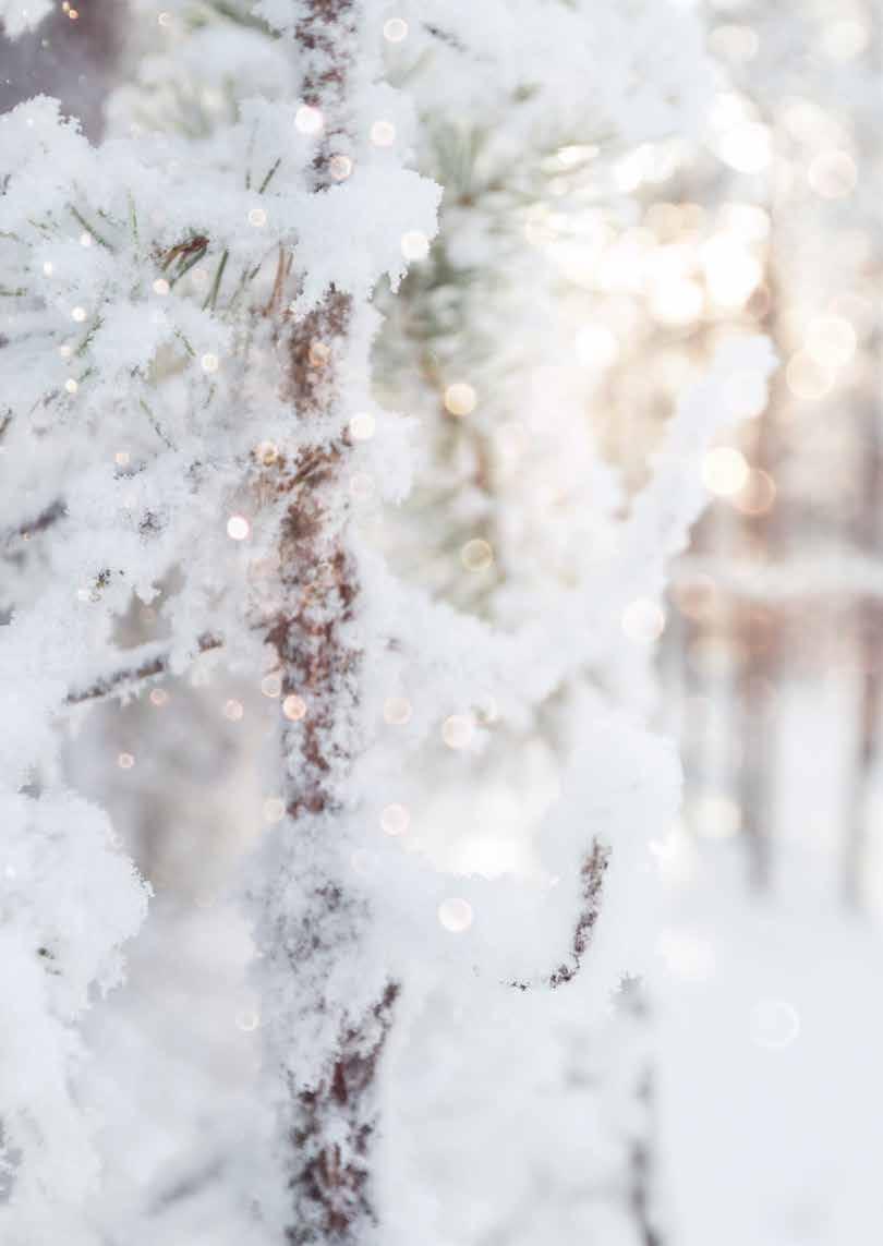 ARKKITEHTIEN JA SISUSTUSSUUNNITTELIJOIDEN APUNA: Eeva Niemelä eeva.