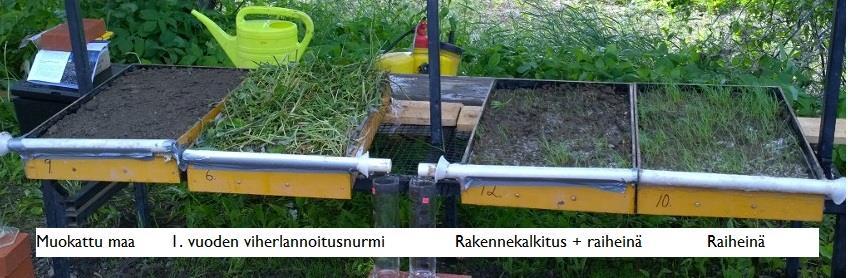 ruotsalaisessa tutkimuksessa P:n