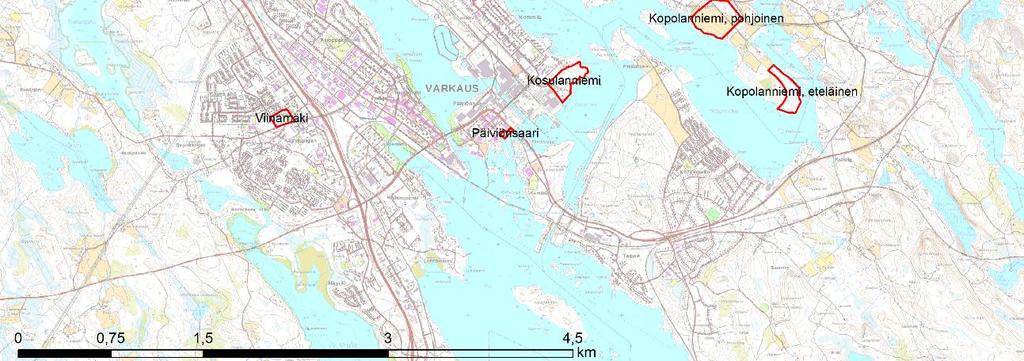 1 Kasvualueet ja niiden sijainti Tarkastelualueina ovat pientaloalueet Tykkitie, Helvejärvi ja Konnansalo, Lajunniemi, Kosulanniemi, Puurtilanlahti, Kopolanniemi, Viinamäki ja Päiviönsaaren