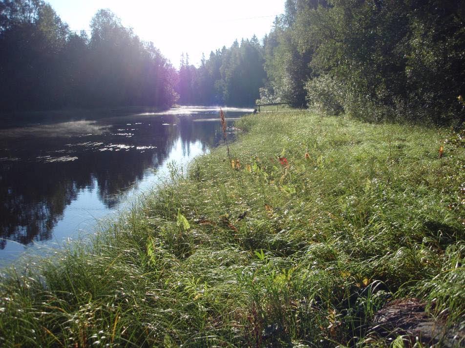 sret klvt myös Olje sistleesee, jk vid määritellä klvksi rik jkisistihi (EN - erittäi hliset). v. Srsrrtiittyä Mstslme rll.