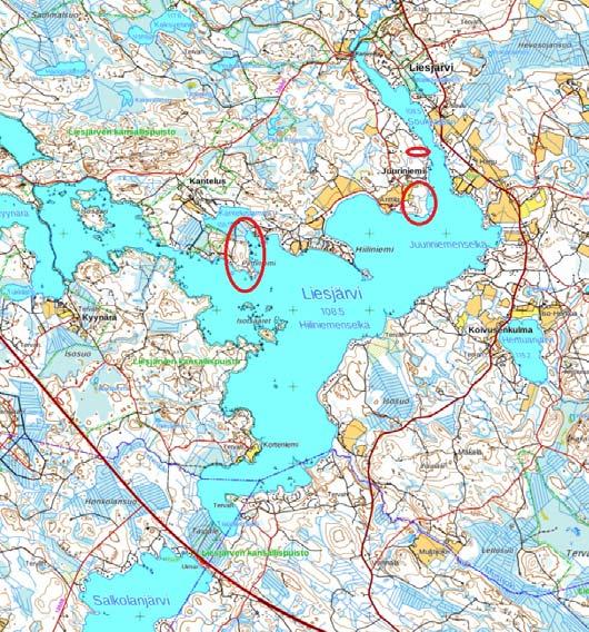 1. Perus- ja tunnistetiedot 1.1 Tunnistetiedot Kaavan nimi: Ranta-asemakaava, Liesjärvi Kaavan päiväys: 4.6.