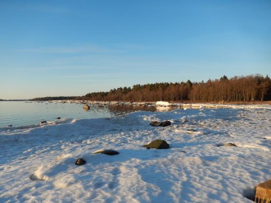 Opastaulut tekevät reitistä elämyksellisen varsinkin lapsiperheille. Reitti on 1,2 km pitkä ja soveltuu myös lyhyen pituutensa puolesta lapsiperheiden päiväretkeilyyn.