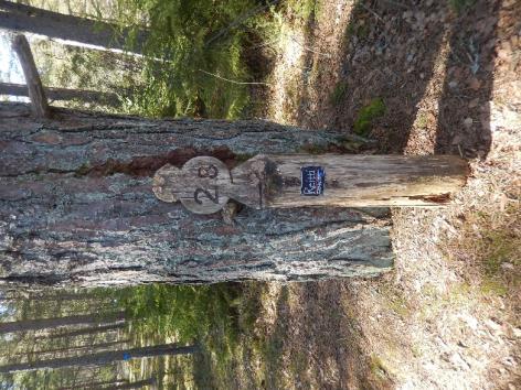 Kuva 14. opastepölkky Santojen lenkki on vetovoimainen, sillä se kulkee vaihtelevassa maastossa.