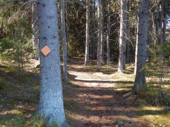 Sinisellä on merkitty alueen luontotorni ja havaintolava. (Karttaselain 2018.) Kuva 21. Opasteviitta reitin varrella Kuva 22.