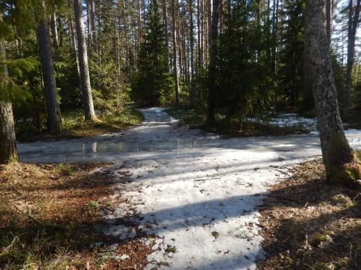 Julkisen liikenteen verkosto ei yletä luontotorneille asti, sillä Mäntyluodontieltä, jossa on bussipysäkkejä, on todella pitkä kävelymatka kummallekin luontotornille.