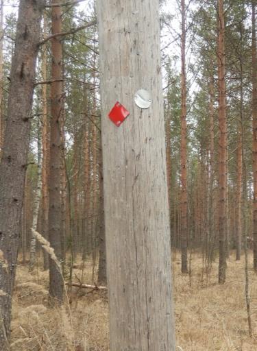 Munakarin säikän kohdalta reittiosuus Langouralle asti oli hyvin opastettu, sillä osuus kulki pitkospuita pitkin ja reitin varrella oli riittävästi opasteita.