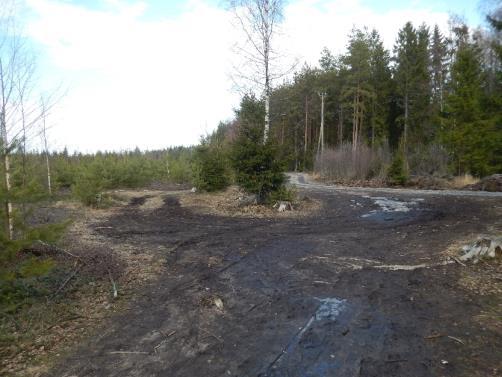 Etenkin sähkölinjan alla kulkeva kapea metsäpolulle vievä risteys oli haastava tulkita ilman opastetta, sillä risteyksestä lähti polkuja kolmeen suuntaan.