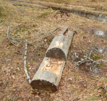 Etenkin reitin Pohjoispää Yyterin hiekkarannan lähellä oli erittäin vetovoimainen.