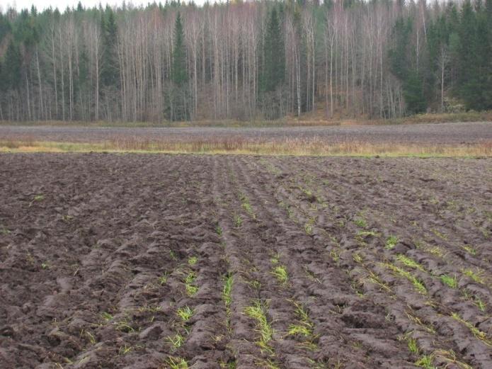 kuitenkin olla perusteltua useista syistä