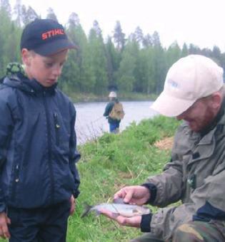 Matias Tuohimaa 10 v. osoitti erinomaista kalastustaitoa, mutta ennen kaikkea hänellä oli asenteet kohallaan. Alamittaisia harria nousi köytenään, jotka hän tottuneesti laittoi takasi vapauteen.