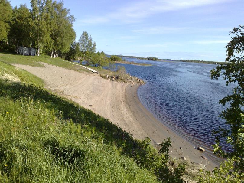3 Rantavyöhykkeen ja lähiympäristön Jyrkähkö jokiranta, jota ympäröi puistoalue kuvaus 3.
