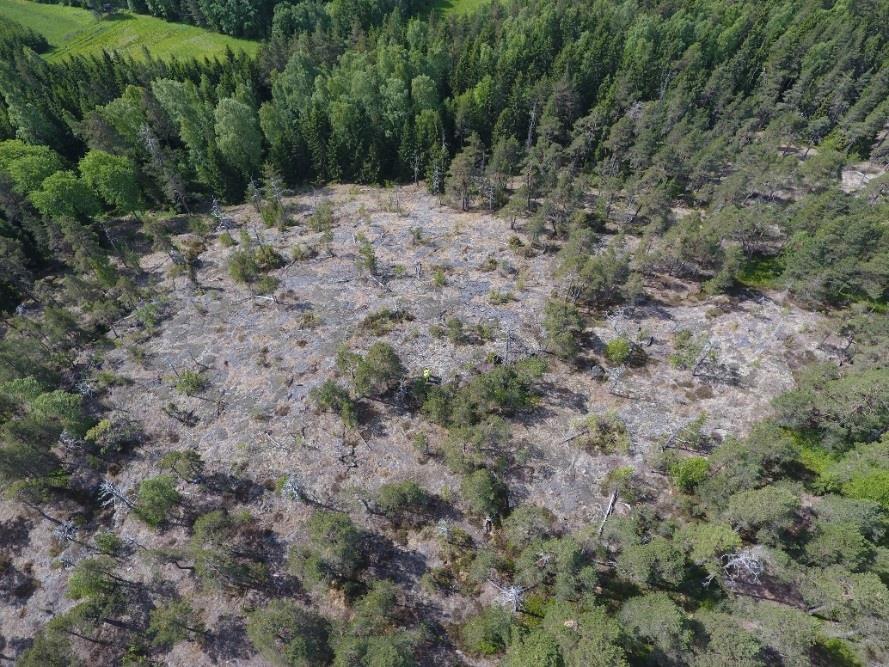 1. Materiaalien saatavuus ja massakoordinaatio Neitseellisen kiviaineksen ottoalueet välttämättömiä,