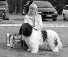 CARNAC S DIE HARD WITH A VENGEANCE S56960/97 u (Solankers Finurlige Fuzzy O Carnac Miep Ruchiëng Beauty Dogs) Gunilla Skallman, Ruotsi / Gunilla Skallman, Ruotsi Lahti KV 22.4.