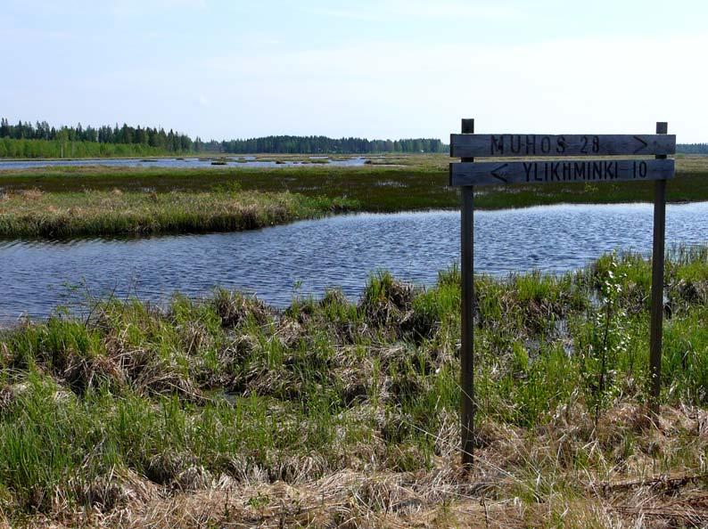 Iso Seluskanjärven pinnan aiemmasta laskusta johtuvia turvelauttoja kelluu