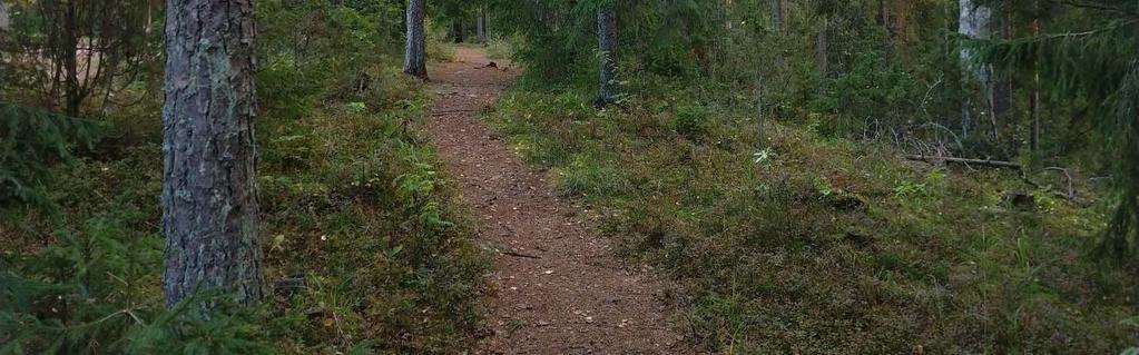 Suunnittelualue rajautuu koillissivultaan viiteen Hakalankadun puoleiseen pientalotonttiin sekä luoteiskulmasta Sompionkujan toiseen pientalotonttiin.