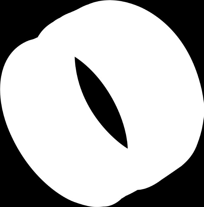 kotelolla (kuva 6). Kuva 4: Kaasunäytteenottolaitteen Zg 1.2.