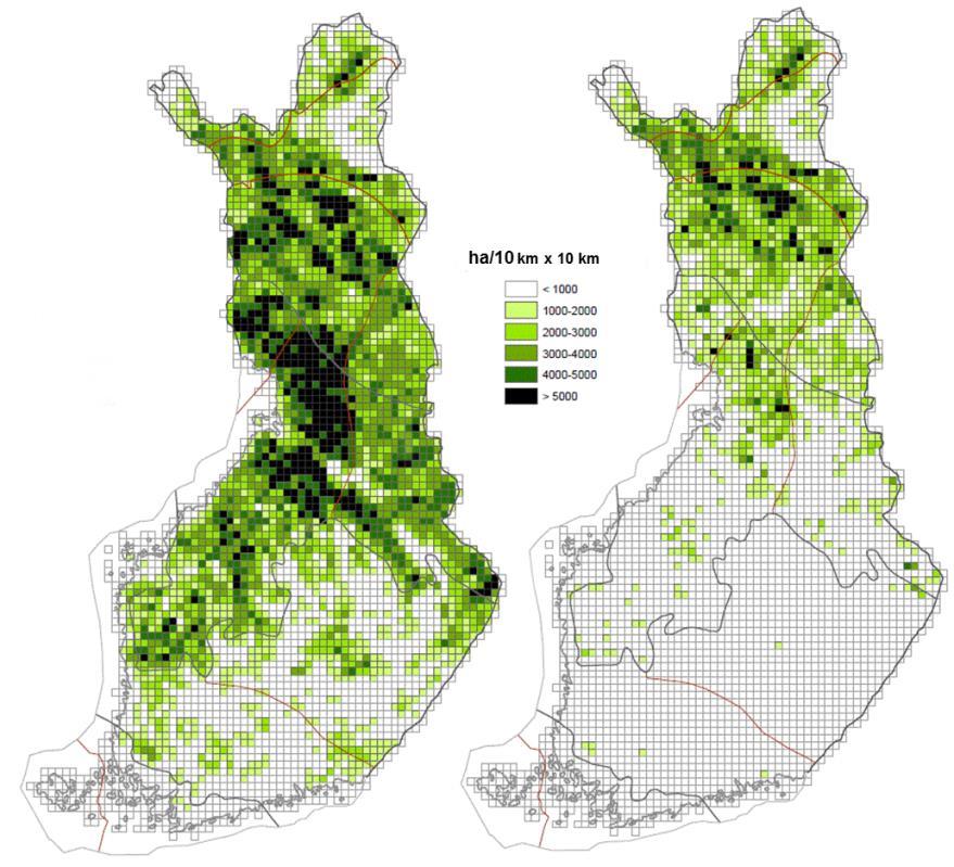 Suoluonnon muutos ihmisen toimesta (SYKE, lähde MML 2008) Alkuaan ojittamatonta suoalaa 10,4 milj ha VMI3 1950-luku VMI11