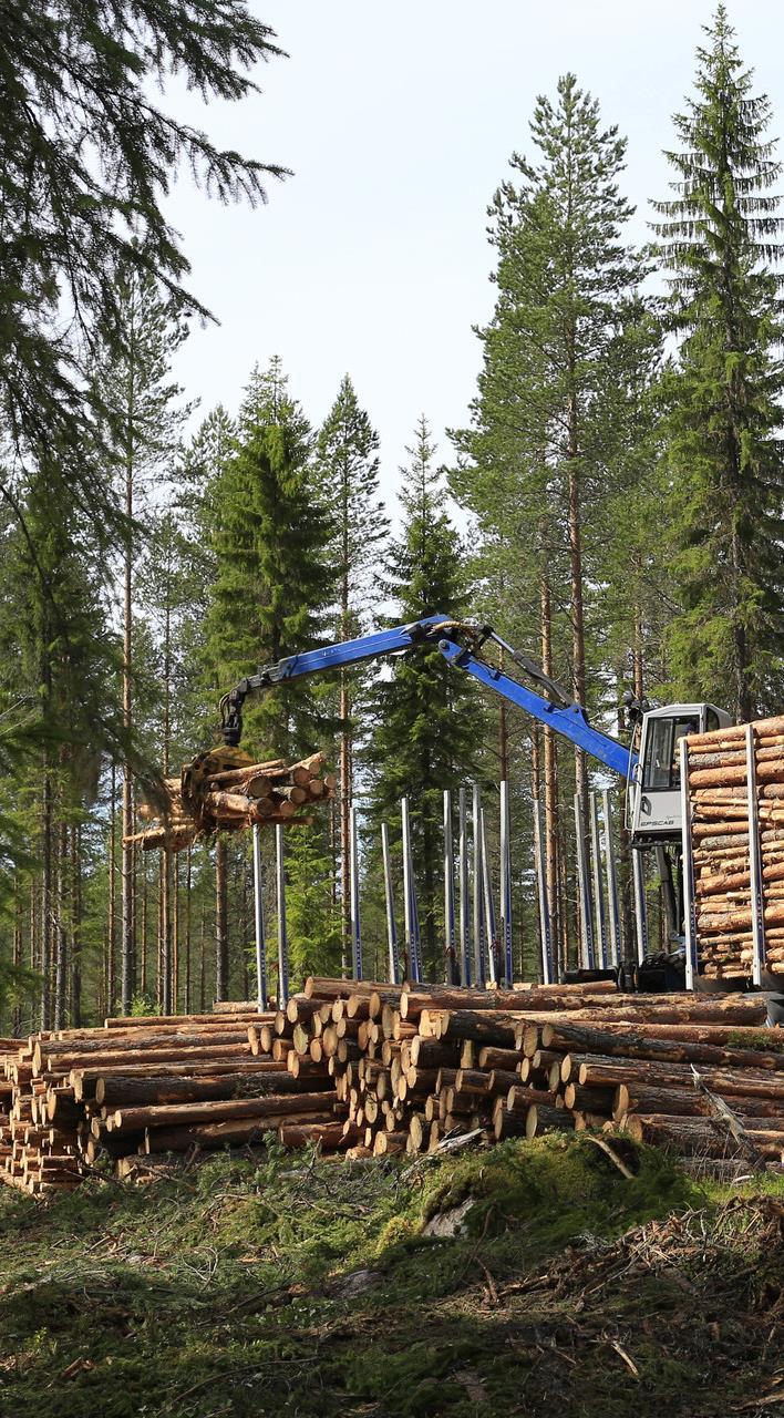 Metsä Groupin biotuotetehdas puunhankinta Biotuotetehtaan puut hankitaan kotimaasta Biotuotetehdas käyttää 6,5 milj. m³ kuitupuuta vuodessa eli noin 4,5 milj.