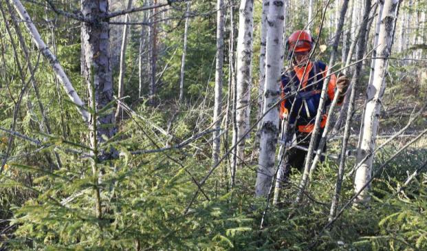 Metsä Group, puunhankinta ja metsäpalvelut Yrittäjät ovat tärkeä sidosryhmä Yrittäjät ja heidän