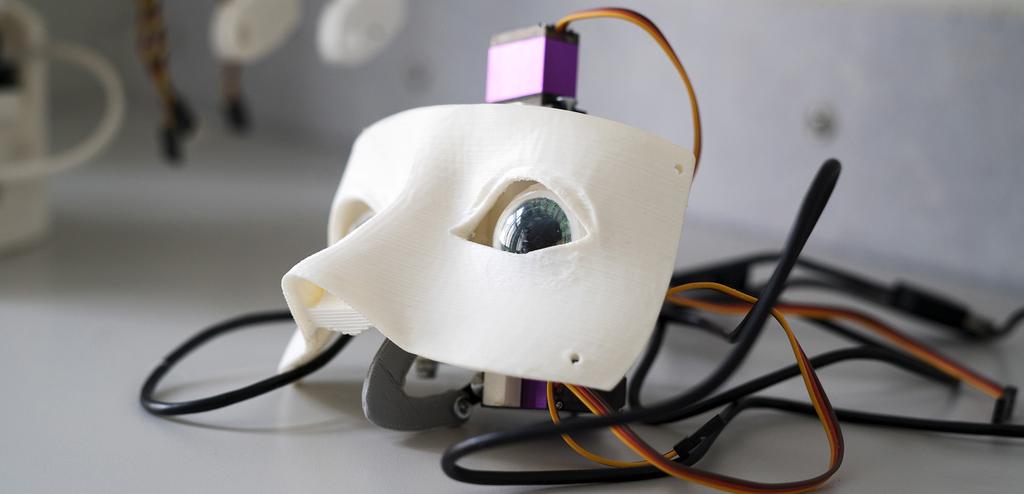 Sosiaalisia robotteja suunnitellaan tehtäviin, joissa ne ovat vuorovaikutustilanteessa ihmisten kanssa.