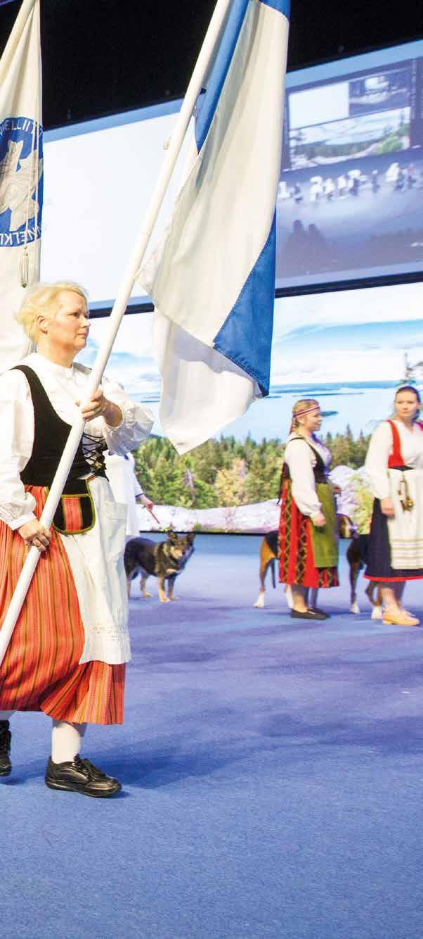 Kotimaiset rodut olivat näyttävästi esillä eri tapahtumissa Teemavuosi julkistettiin Koiramessuilla 11.12.2016. Ensimmäisen kerran teemavuosi oli mukana 28.1.2017 Jalostuspäivillä Kuopiossa.