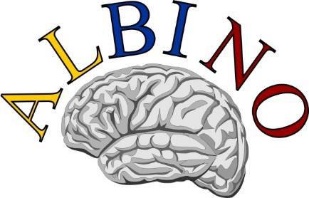Effect of ALlopurinol in addition to hypothermia for hypoxicischemic Brain Injury on Neurocognitive Outcome - ALBINO - a blinded randomized placebo-controlled multicenter trial (EUDRACT-No.