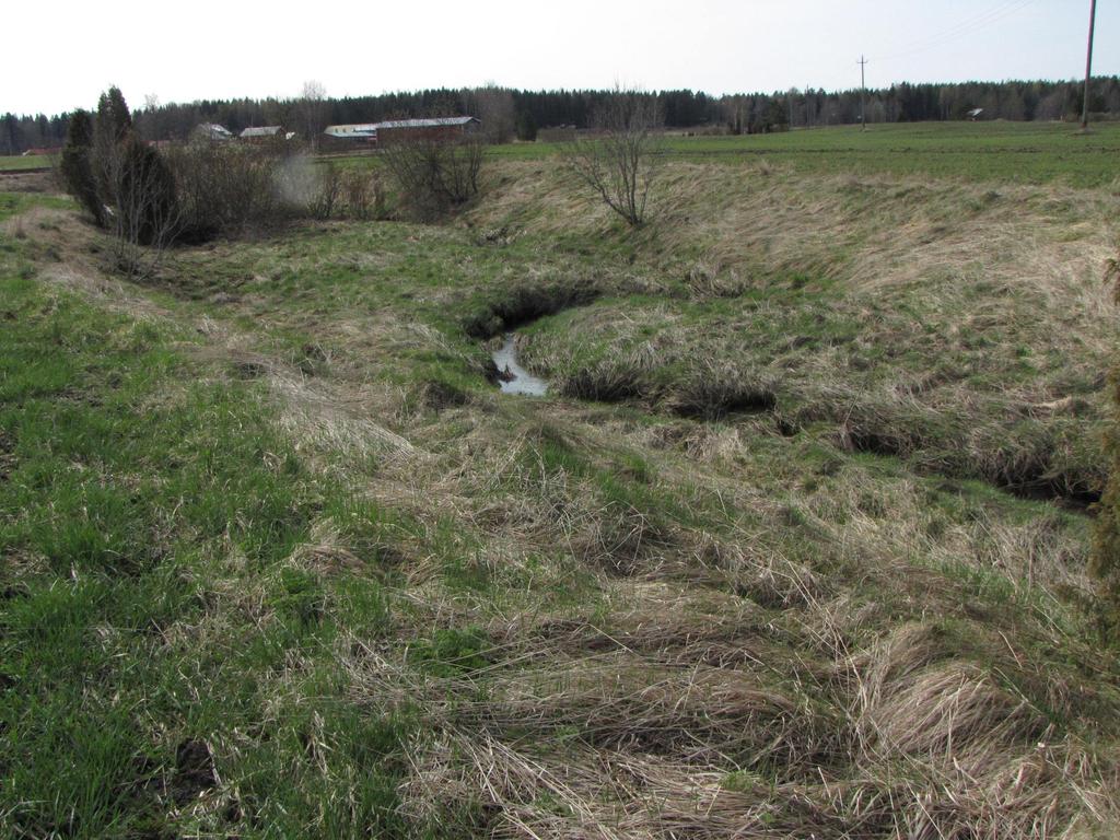 Mitä on luonnon monimuotoisuus, biodiversiteetti?