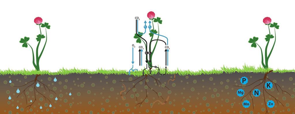 Eloperäinen aines savimailla Eloperäisen aineksen lisääminen peltoon vaikuttaa samanaikaisesti maaperän fysikaalisiin, biologisiin ja kemiallisiin ominaisuuksiin.